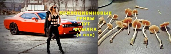 кокс Покровск
